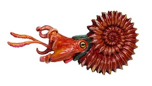 AMMONITE by Safari Ltd/ fossil/ prehistoric animals/303429/  - Picture 1 of 1