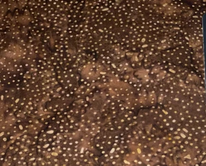 1 Yd Tonga Batiks Cotton Quilt Store Fabric Mocha Brown Dots Tone on Tone - Picture 1 of 6