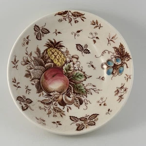 Ciotola Vintage Nasco Tropicana Giappone Dipinta a Mano Frutta Cereali 6” LEGGI - Foto 1 di 8