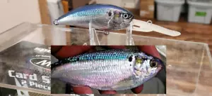 CUSTOM WRAPPED AND PAINTED DUO G 87 CRANKBAIT( SHAD) - Picture 1 of 5