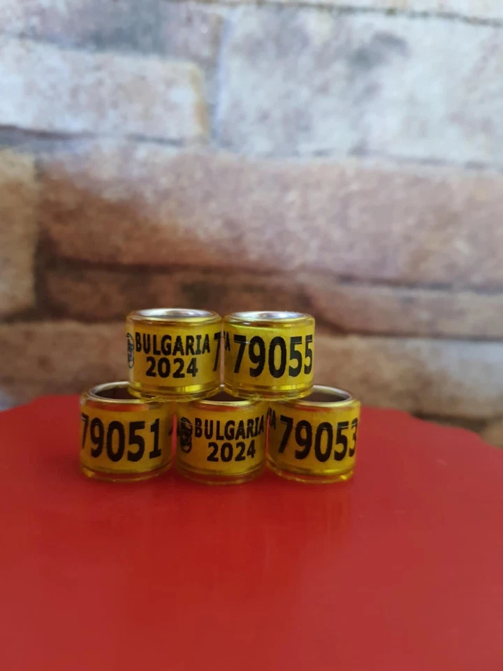 5 Brieftaubenringe 2024 BG Taubenringe FCI Eigentumszertifikat Ring Bulgarien - Bild 1 von 3