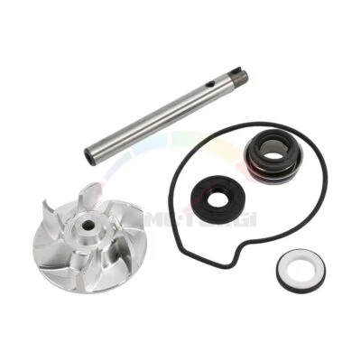 Kit Riparazione Pompa Acqua Guarnizioni Oring Per Kawasaki Ninja ZX9R ZX-9R 1998-2002 - Immagine 1 di 4