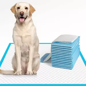 Dog Pee Pads Extra Large 28"X34", X-Large Training Puppy Pee Pads Super Absorben - Picture 1 of 12