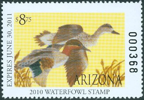 AZ24J 2010 Arizona State JUNIOR Duck Stamp MNH  - Image 1 of 1