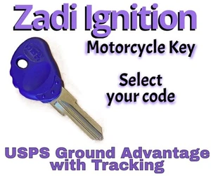 Aprilia Bimota BMW Buell Cagiva Derbi EBR Key Cut to Code 8501-8750 - Foto 1 di 1