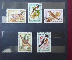 Russia, UdSSR,  1981 , set of birds complete - Picture 1 of 1