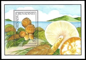 GRANADA-GRANADINAS 1330 - Setas "Lepiota spiculata" (pb40065) - Imagen 1 de 1