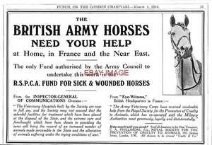 Anuncio de la Primera Guerra Mundial RSPCA Caballos Enfermos y Heridos Fondo del Consejo del Ejército 1916 anuncio impreso 734/70 - Imagen 1 de 1