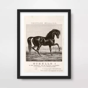 BLACK STALLION HORSE EQUESTRIAN ART PRINT Poster Antique Decor Wall Artwork - Picture 1 of 8