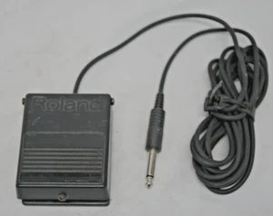 Interruptor de pie Roland Sustain para amortiguador de pedal de teclado DP-2 con enchufe TS de 1/4" - Imagen 1 de 5