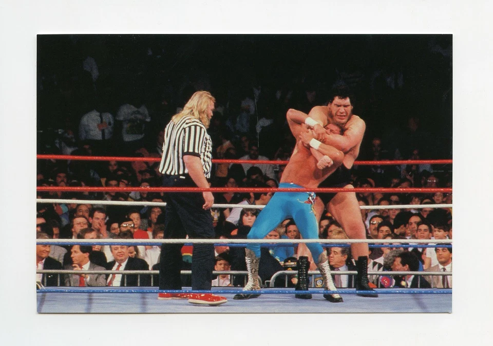 #TN07635 ANDRE THE GIANT VS. THE SNAKE JAKE ROBERTS  & JOHN STUDD 1999 WWF Card - Image 1 of 1