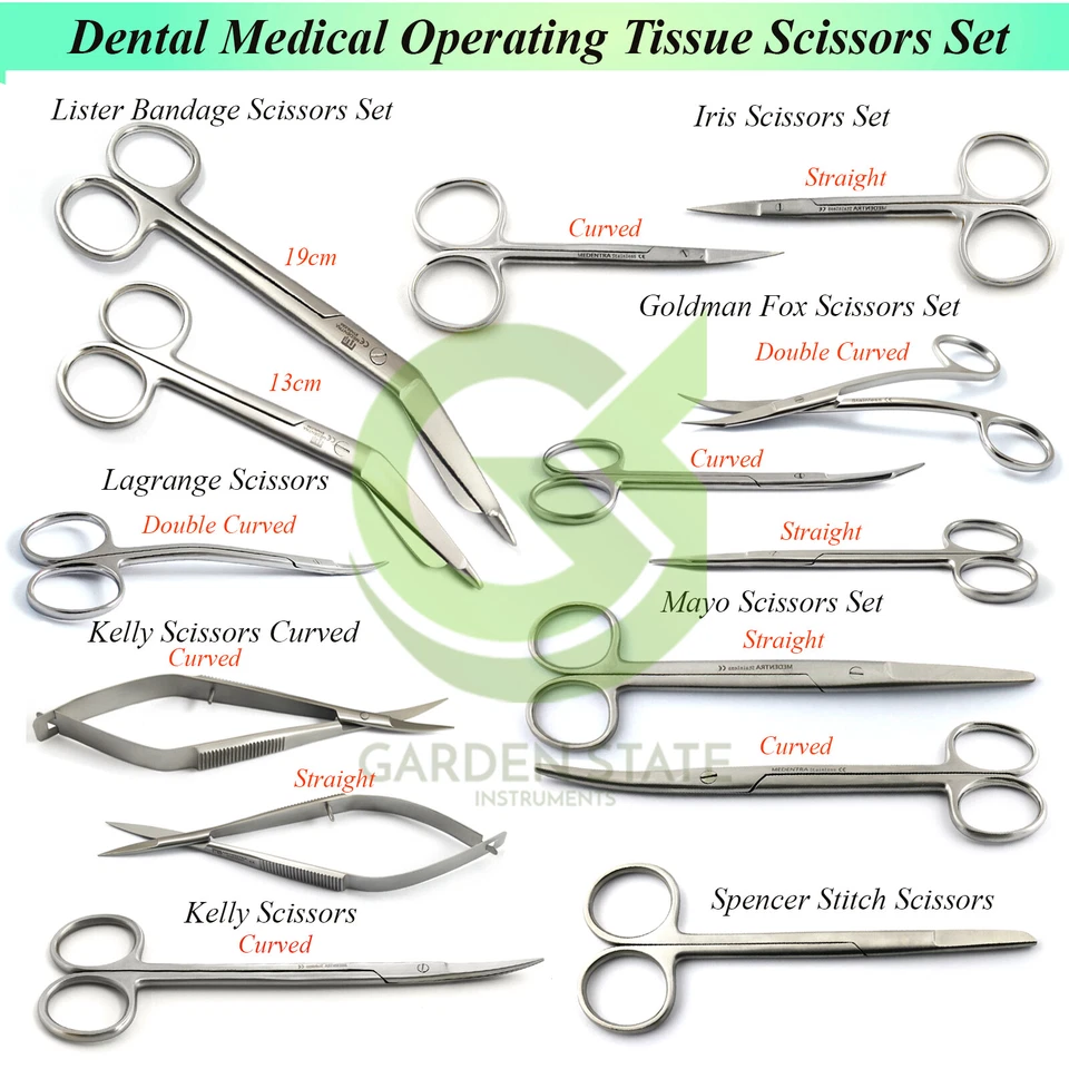 Medical Scissors Straight Curved Tissue Cutting Dental Veterinary Gum Shears Set - Image 1 of 1