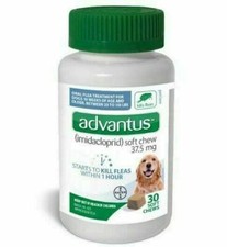 fast acting flea pill