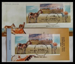 143.INDIA 2013 STAMP M/S WILD ASS KIANG:LADAKH & GHOR KHAR:KUTCH FDC+BROCHURE - Picture 1 of 1
