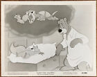 BARNEY BEAR Original Movie Photo 1953 MGM Animation Cartoon SLEEPY TIME SQUIRREL
