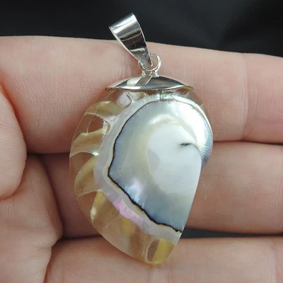 Gioielli conchiglia Nautilus in argento sterling 925 e resina trasparente... - Immagine 1 di 4