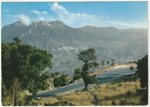 NUORO - MONTE ORTOBENE E MONTI DI OLIENA - VIAGG. -76125- - Picture 1 of 1