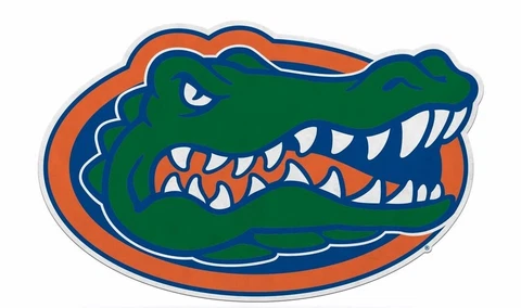 Florida Gators 18" Primary Logo Pennant Soft Felt Cover