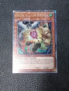 Droll & Lock Bird - RA02-EN006 - Casi como nuevo QCR - Imagen 1 de 2