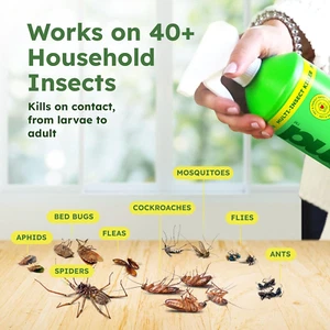 32 Oz Ant Killer & Bug Spray - Roach and Cockroach Killer Indoor, Spider and ... - Picture 1 of 12