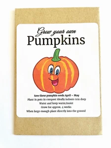 10 x Halloween Birthday Party Grow Your Own Pumpkin Seed Packs For Gift Bags H2 - Picture 1 of 3