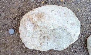 Real Fossilized Dino Egg-HUGE Partial, 14 Lbs! Hand Picked.  SALE PRICE! - Picture 1 of 8