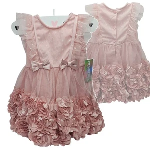 Vestido de fiesta Nannette rosa rubor roseta y tul para niñas talla 2T nuevo con etiquetas - Imagen 1 de 16
