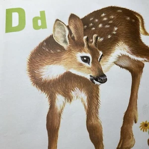 Vtg 1960s D Deer Rabbit  Daisy flower  Alphabet Print Wall Art 8.75 X 12” - Picture 1 of 24