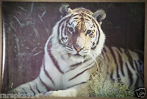 Póster fotográfico vintage de vida silvestre de la década de 1970 con estampado del portal del tigre - Imagen 1 de 1