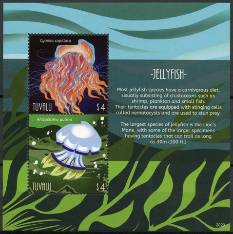 Tuvalu Marine Animals Stamps 2020 MNH Jellyfish Lion's Mane Jellyfish 2v S/S Cover