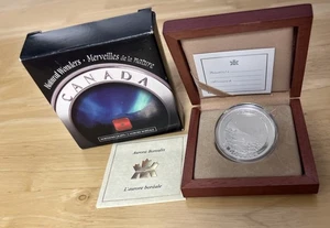 Kanada 2004 20 $ Natural Wonders Aurora Borealis 1oz Silbermünze - Bild 1 von 7