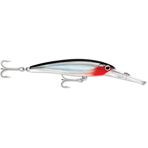 Rapala XRMAG40S X-rap Magnum Fishing Lure 7" Silver S