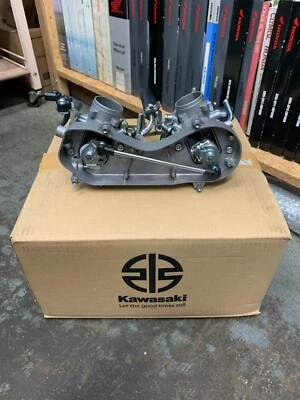 OEM Kawasaki 16163-0790 Throttle Assy - (2014-2023) Teryx 800/Teryx4/S/LE - Image 1 of 4