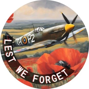 Poppy Badge Remembrance Day Red Poppy Spitfire poppy Lest we forget - Picture 1 of 10