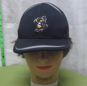 TOLEDO MUD HENS youth baseball hat Muddy cap New Era flexfit 2015 - Picture 1 of 5