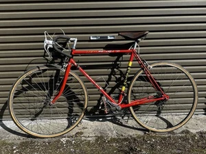 Team Raleigh Europa 1970s Olympics Racing Bike, Vintage, Retro, Antique, Racer. - Picture 1 of 24