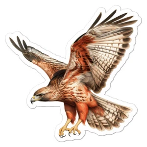Hawk Falcon Merlin, Vinyl Decal Sticker, Indoor Outdoor, 3 Sizes, #11175 - Picture 1 of 1