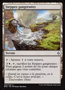 *MRM* FR/VF 4x steppes gangren�es - Blighted Steppe MTG battle zendikar - Bild 1 von 1