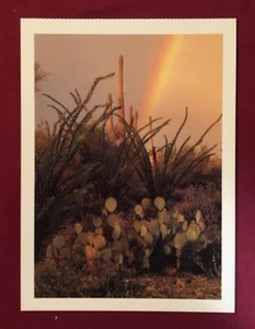 DESERT SOUTHWEST Glossy Unused Postcards Post Cards Lot - 39 qty 20 designs - Picture 1 of 6