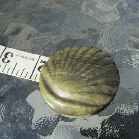Antique Tight Top Button Sea Shell Realistic Extra Large Celluloid Cover
