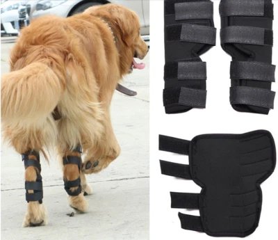 Canine Dog Hock Brace Rear Leg Joint Wrap Helps Loss of Stability from Arthritis - Image 1 of 4
