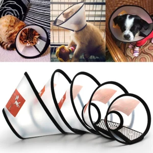 Hurt Dog Cat Pet E-Collar Wound Healing Recovery Protection Cover Anti-Bite Cone - Picture 1 of 7
