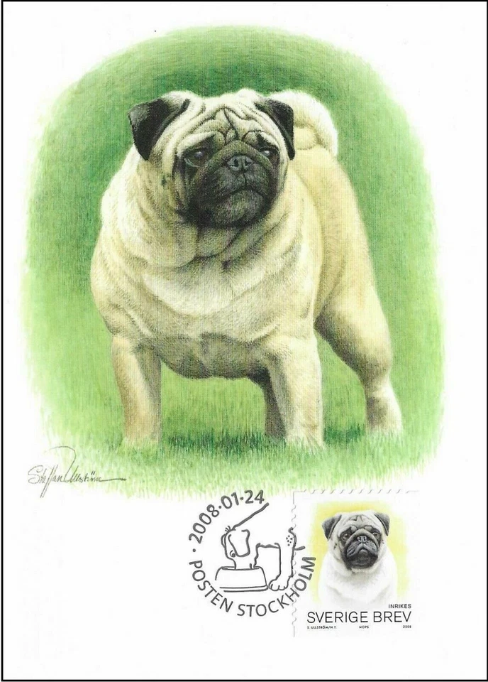Tarjeta Maxi FDC 2008 Pug Mops Dog Sweden Dogs como nueva Foto 1 de 1