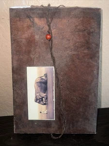 VTG Ashes and Snow Photographs- Gregory Colbert Tokyo Exhibition Art Book Flying - Picture 1 of 10