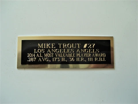 Mike Trout Angels 2014 AL MVP Award Baseball Card Plaque Nameplate 1" X 3" Cover