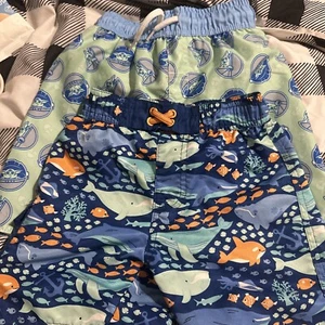Boy Swim Trunks Lot 4T - Picture 1 of 9