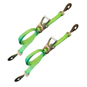 USA 2 Pack 2" x 10' Ratchet Strap w/Snap Hook Car Hauler Flatbed Trailer Wrecker - Picture 1 of 7