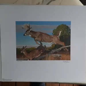 Bob Kuhn Boone And Crockett Club "WHITETAIL DEER" S/N Limited Edition of 1887. - Picture 1 of 10