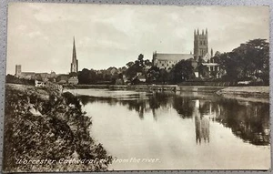 Worcester Cathedral from the River Severn Frith 29301 Edwardian Postcard - Picture 1 of 5
