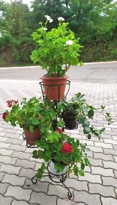 Porta Vasi - Porta piante In Ferro Battuto Ad Alberello o Angolare - Colore Nero - Image 1 of 4